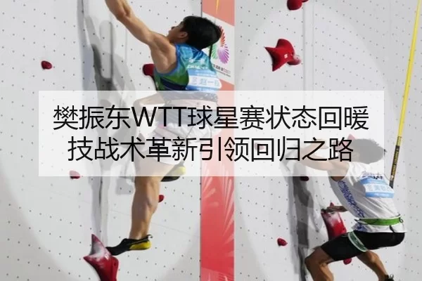 樊振东WTT球星赛状态回暖 技战术革新引领回归之路